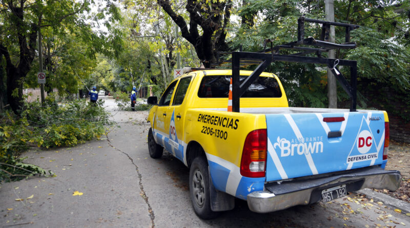 EL MUNICIPIO REALIZA OPERATIVOS DE PODA Y CORTE DE RAMAS DESPEJANDO LUMINARIAS, CÁMARAS Y SEMÁFOROS